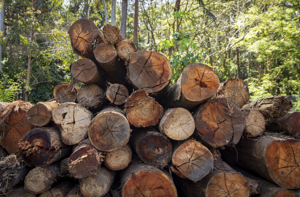 logs for cod