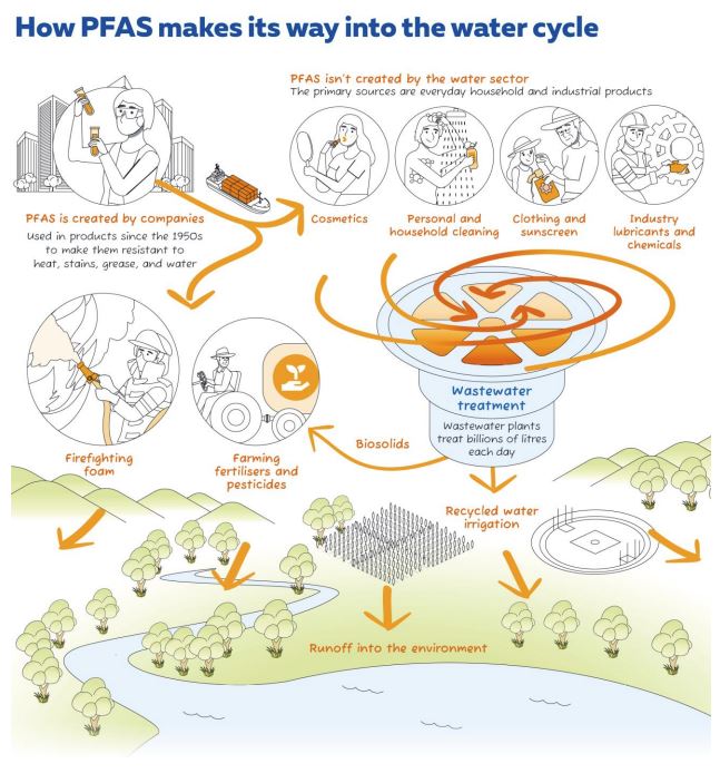 How PFAS enters the water cycle graphic extracted from WSAA fact sheet