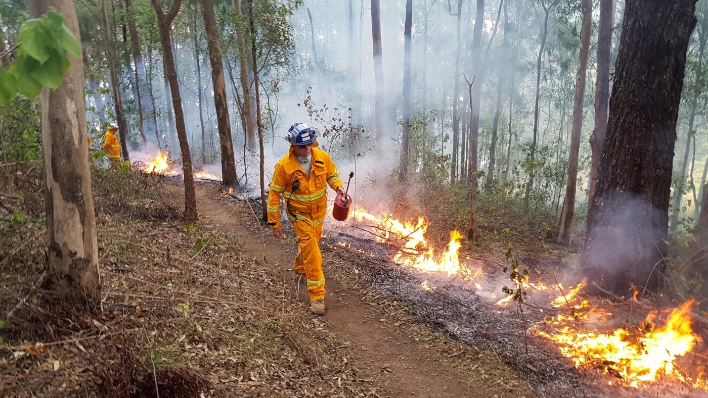 Planned burn Hinze MTB trails
