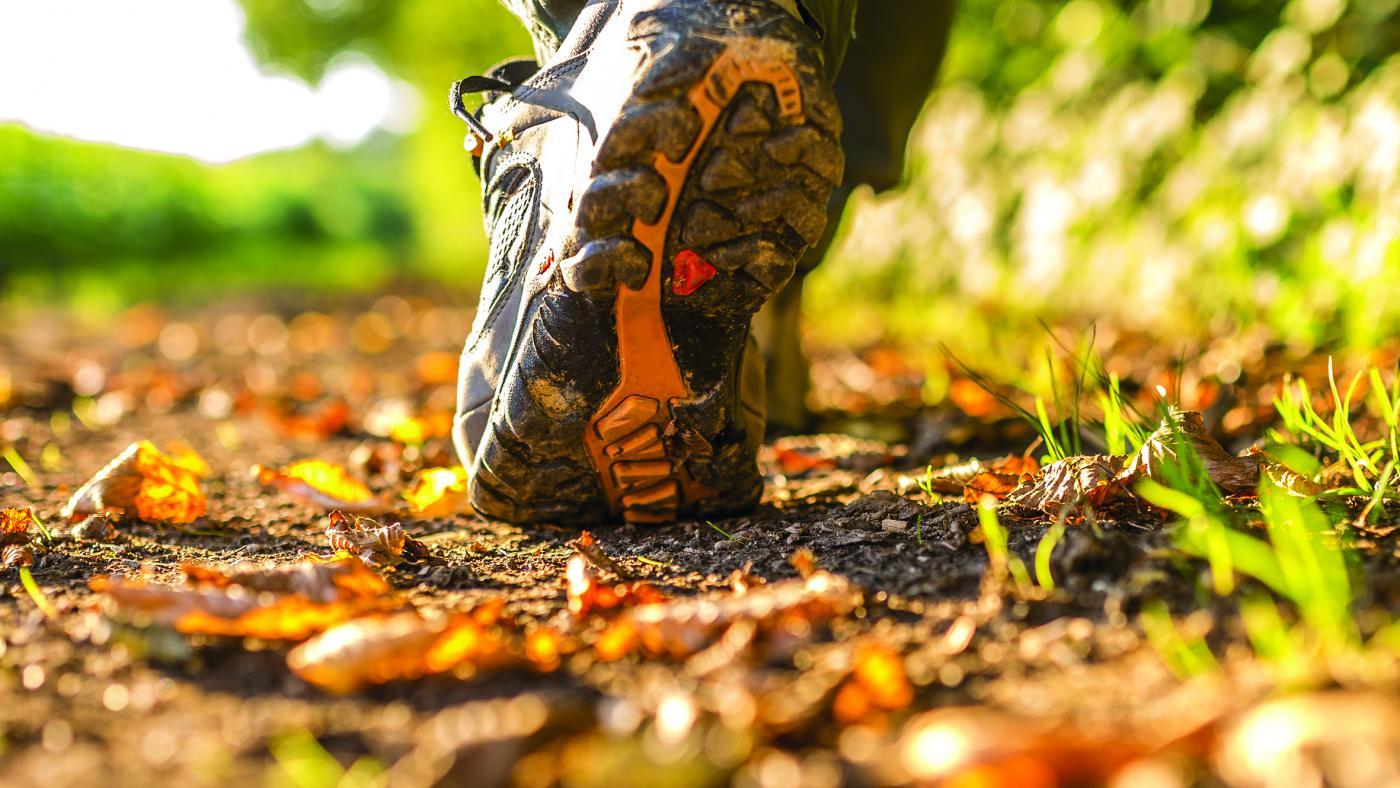 Trail Walk