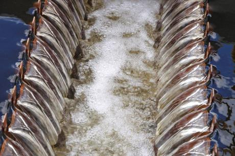 Pre-treatment processing - Gibson Island AWTP