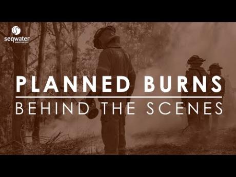 Behind-the-scenes: Seqwater's planned burns