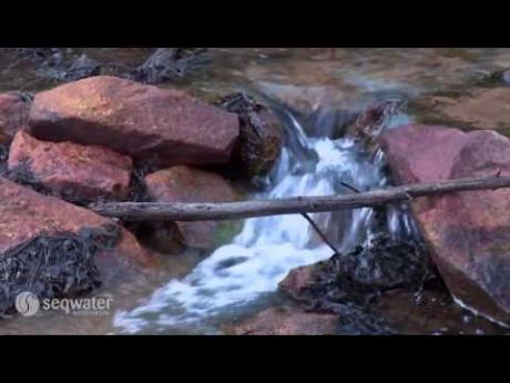 Seqwater explains: Surface water - a water source option