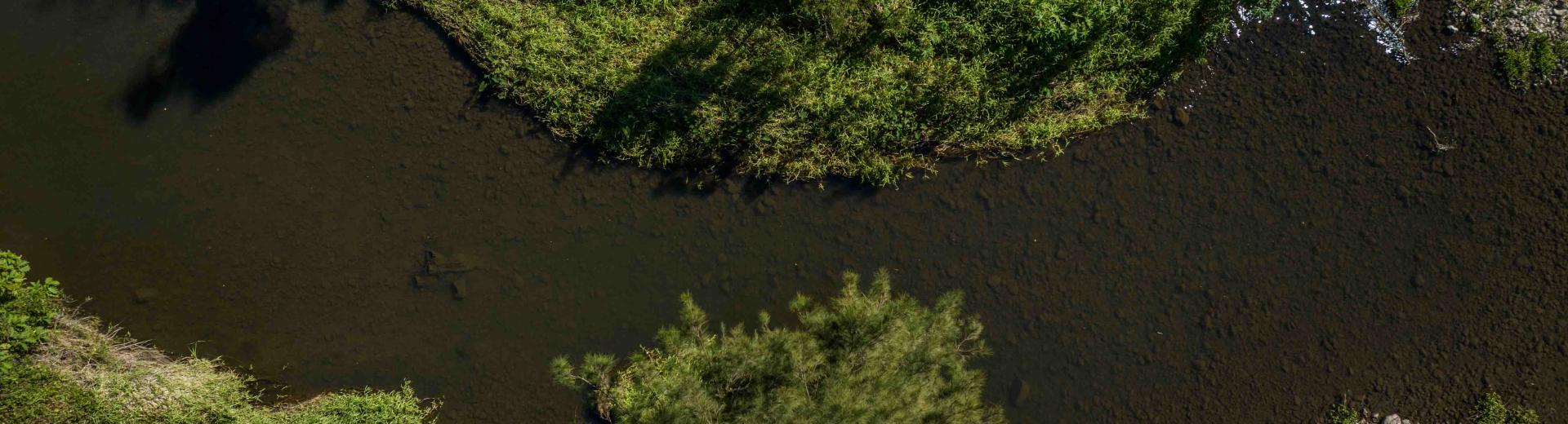 Canungra Creek 2
