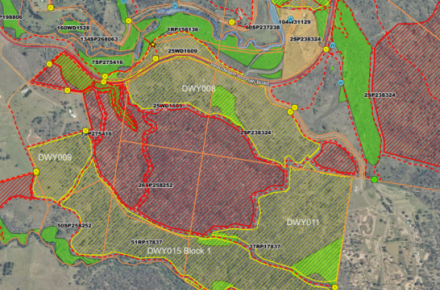 Map of planned burn in the Goan Rd area of Lake Wyaralong