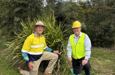 Tim Odgers Tree planting