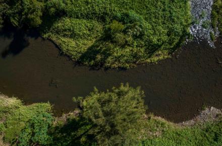 Canungra Creek 2