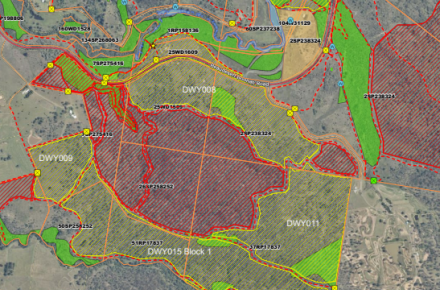 Planned burn map at Lake Wyaralong