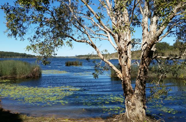 Ewen Maddock Dam