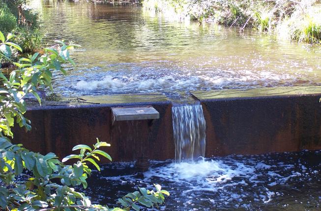Gold Creek Dam