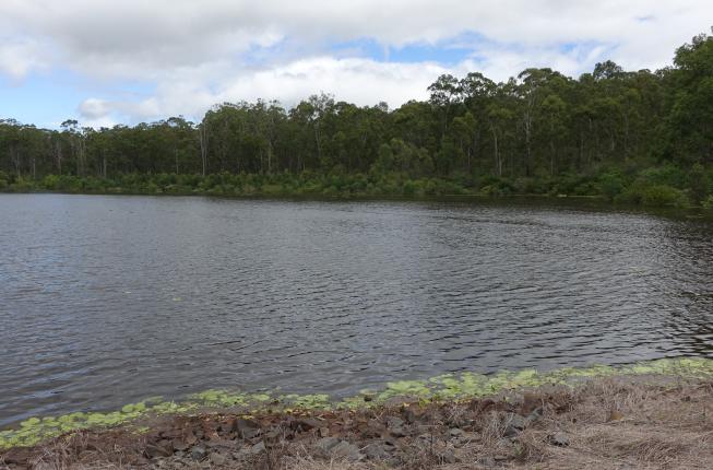Nindooinbah Dam