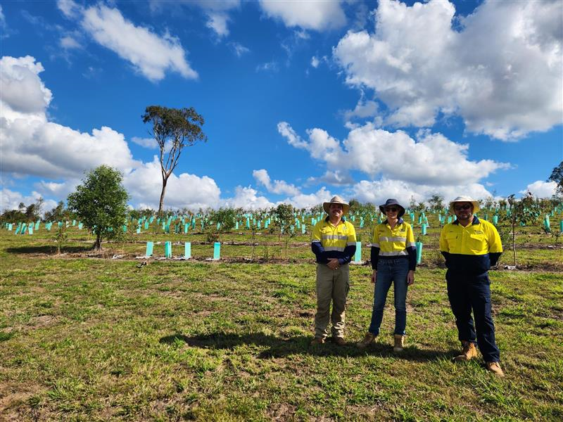 Dayboro tree planting site with Seqwater and City of Moreton Bay teams