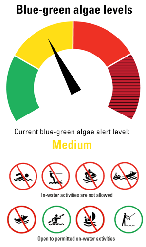 Lake Clarendon medium blue-green algae levels