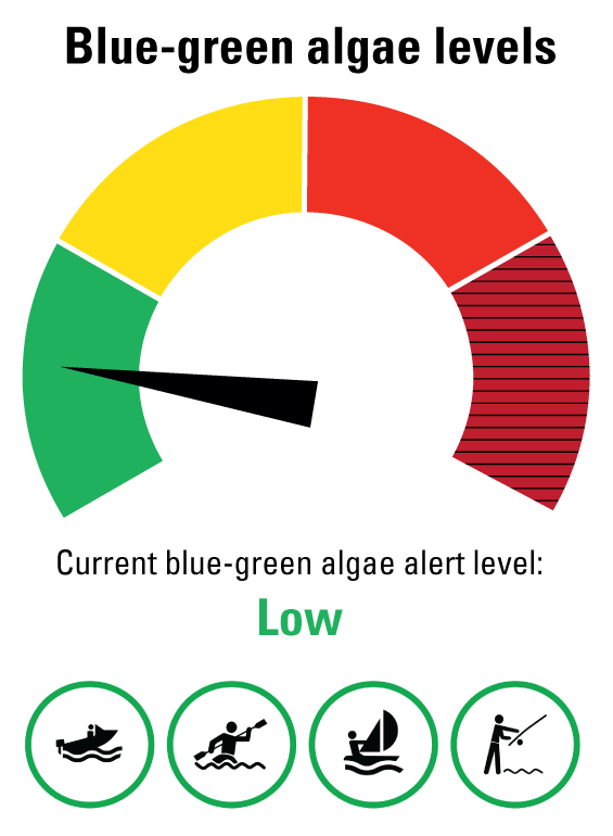 Blue green algae at Lake Macdonald is low