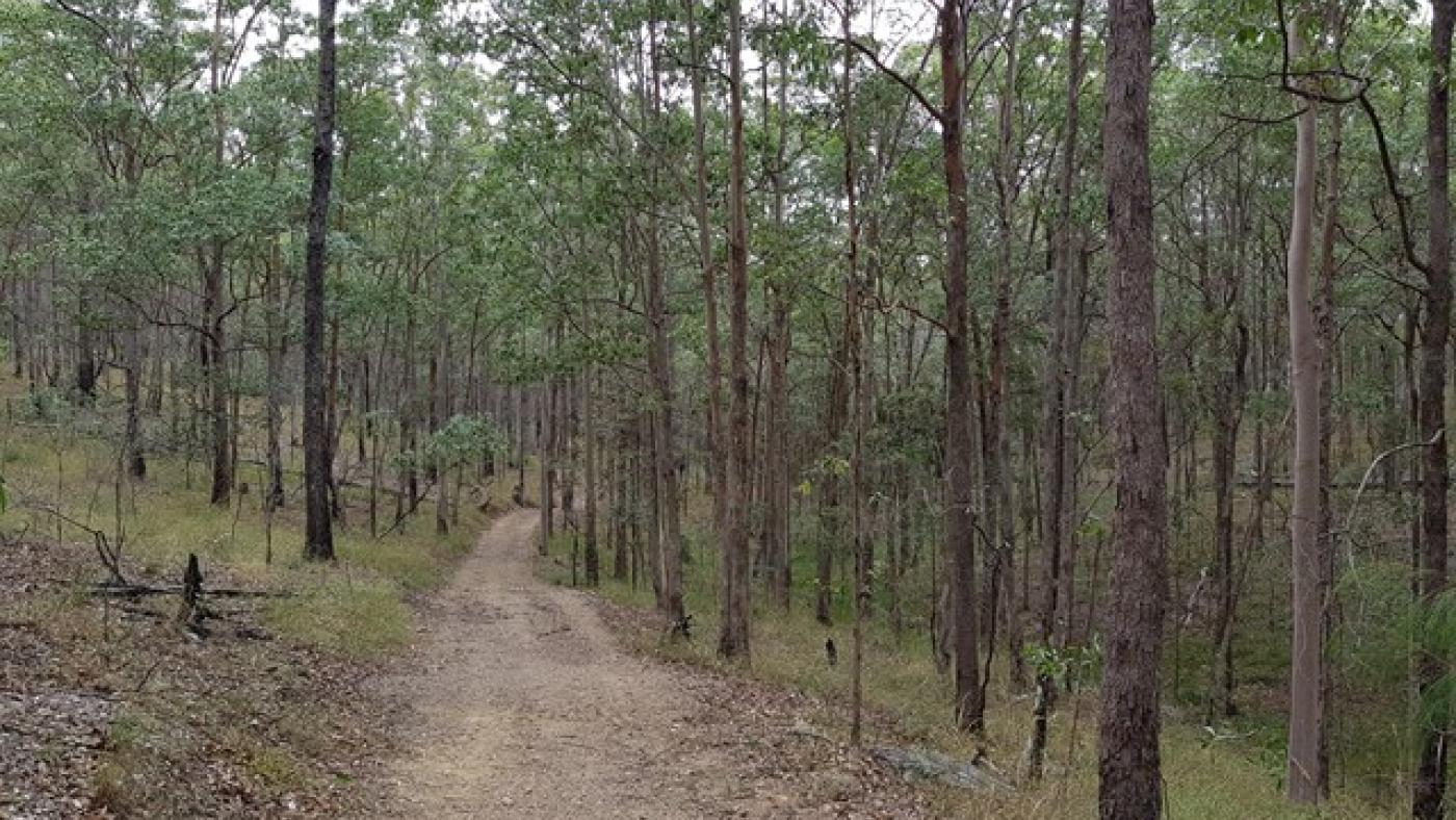 Postmans Track North Pine
