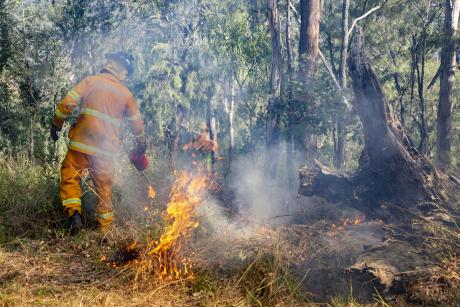 Seqwater fire officer undertaking a planned burn