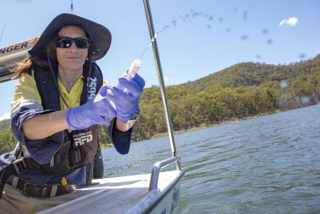 Seqwater’s Environment, Heritage and Land Use Planning (EHLUP) Unit are trialling a technique that involves collecting water samples and screening for environmental DNA - or eDNA - to pick up on the traces of DNA that are left behind by living organisms in the water.  Seqwater Principal Environment, Heritage and Land Use Harry Gordon said eDNA methods offered a monitoring tool that had the potential to revolutionise conservation and ecology research.  “The concept of looking for the DNA present in an enviro