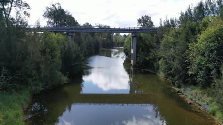 Seqwater has been working with the Mary River Catchment Coordinating Committee (MRCCC) to deliver a series of projects including weed control, revegetation and riverbank stabilisation works to improve water quality in the Mary River.