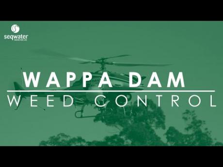 Wappa Dam | WEED CONTROL