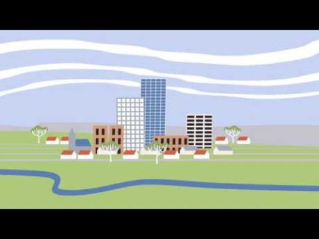 Think & Drink: Sustainability