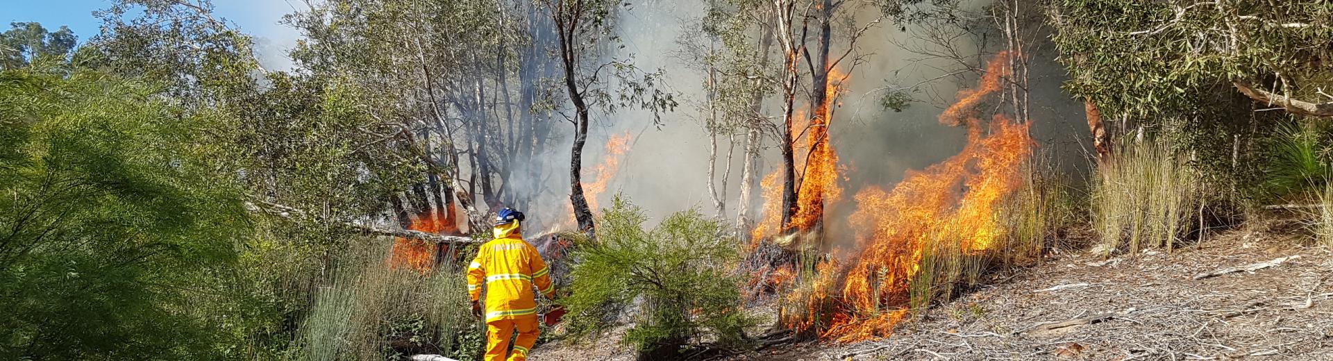 Planned burnin progress at Leslie Harrison Dam