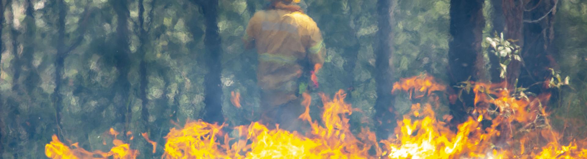 Low, orange flames in the foreground generate a heat wave slightly obscuring a fire officer in the background