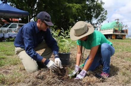 Community tree planting day