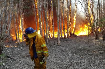 Planned burns help mitigate the risk and impact of bushfires in and around our catchments