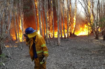 Planned burns help mitigate the risk and impact of bushfires in and around our catchments