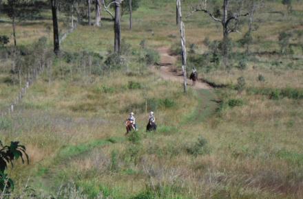 Goan Hill Trail network at Lake Wyaralong