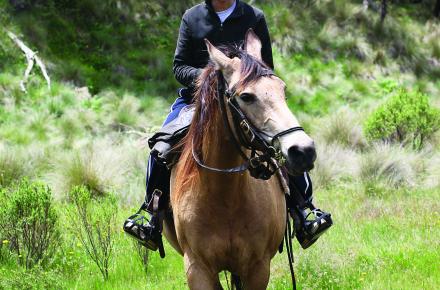 Horse riding