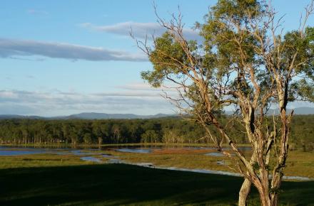 Lake Kurwongbah