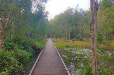 Ornamental wetlands