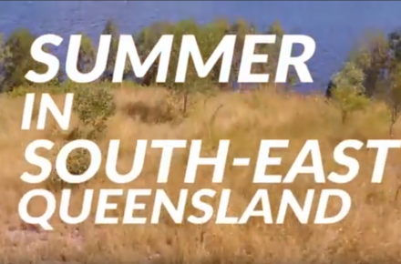 Summer in SEQ thumbnail