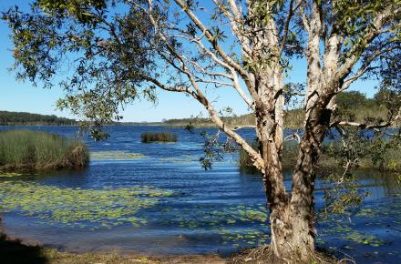 View of the Lake at Ewen Maddock Dam