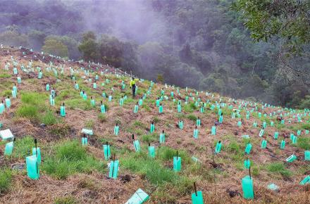 Source protection work at Baroon Pocket Dam catchment