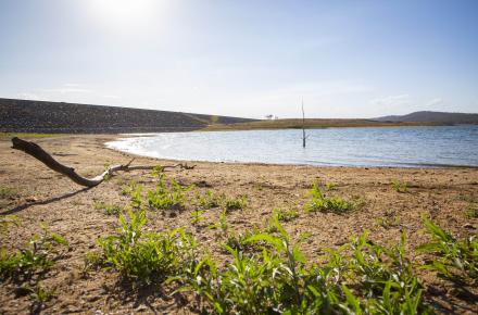 Wivenhoe Dam is currently 50.4 per cent full