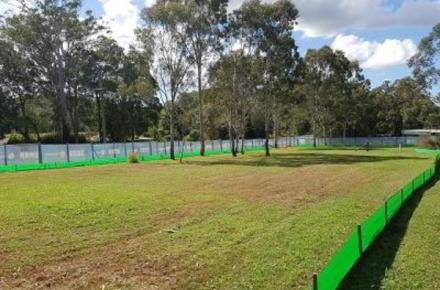 A photo of the trees to be removed as part of the Ewen Maddock Dam upgrade project