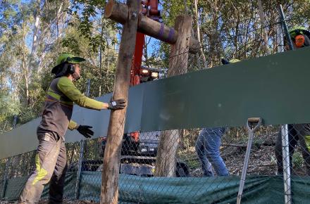 Specialist contractors from Habi-Tec creating hollow nest boxes to help wildlife flourish.