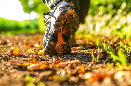 Stock photo of walking trail