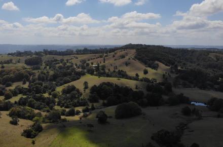 Baroon Pocket Catchment