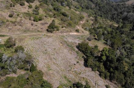 Thousands of trees have been planted throughout Baroon Pocket Dam catchment to protect and improve water quality on the Sunshine Coast