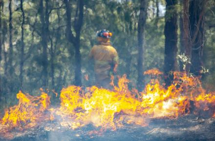 Low, orange flames in the foreground generate a heat wave slightly obscuring a fire officer in the background