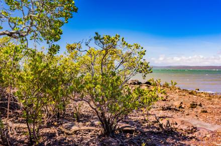 Seqwater is responding to a minor leak detected in a section of underwater bulk water pipeline under the mudflats of Macleay Island.