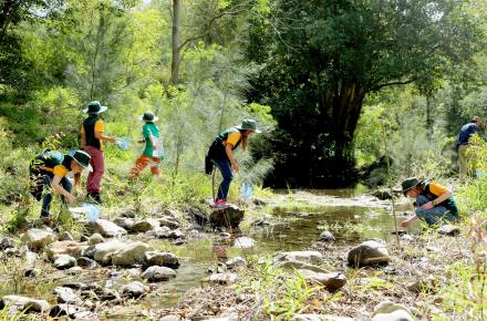 Students exploring the wonders of our waterways