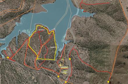 Outlined in yellow, the areas of Lake Wyaralong on the shoreline subject to the planned burn