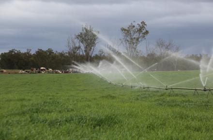 Irrigation on farmland