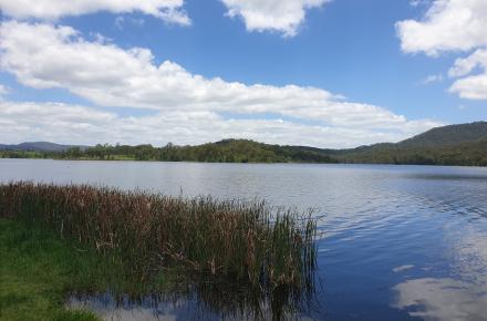 Shoreline of a calm lake, with grassy reeds on the left