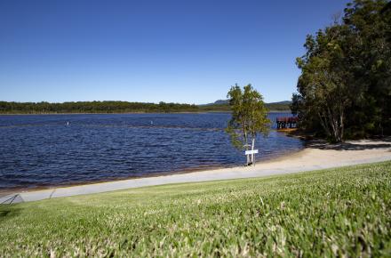 The shoreline of a calm lake with a strip of sandy beach and green grass