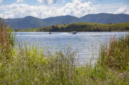 Framed by high grass on the shoreline, a boat tows people on a tube through the water